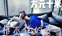 天才大叔爆料视频大全,视频大全中的智慧火花