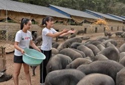 韩城吃瓜事件网红叫什么