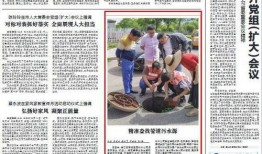 金华爆料今日新闻最新,聚焦城市热点事件，揭秘背后真相